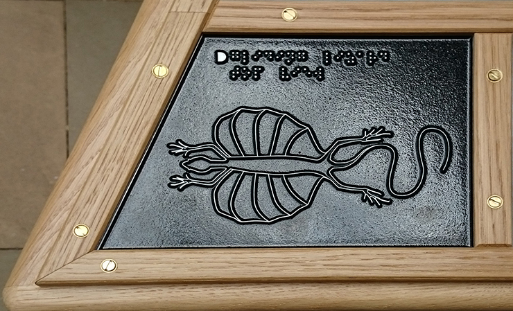 A metal tactile line drawing of a Gliding Lizard.